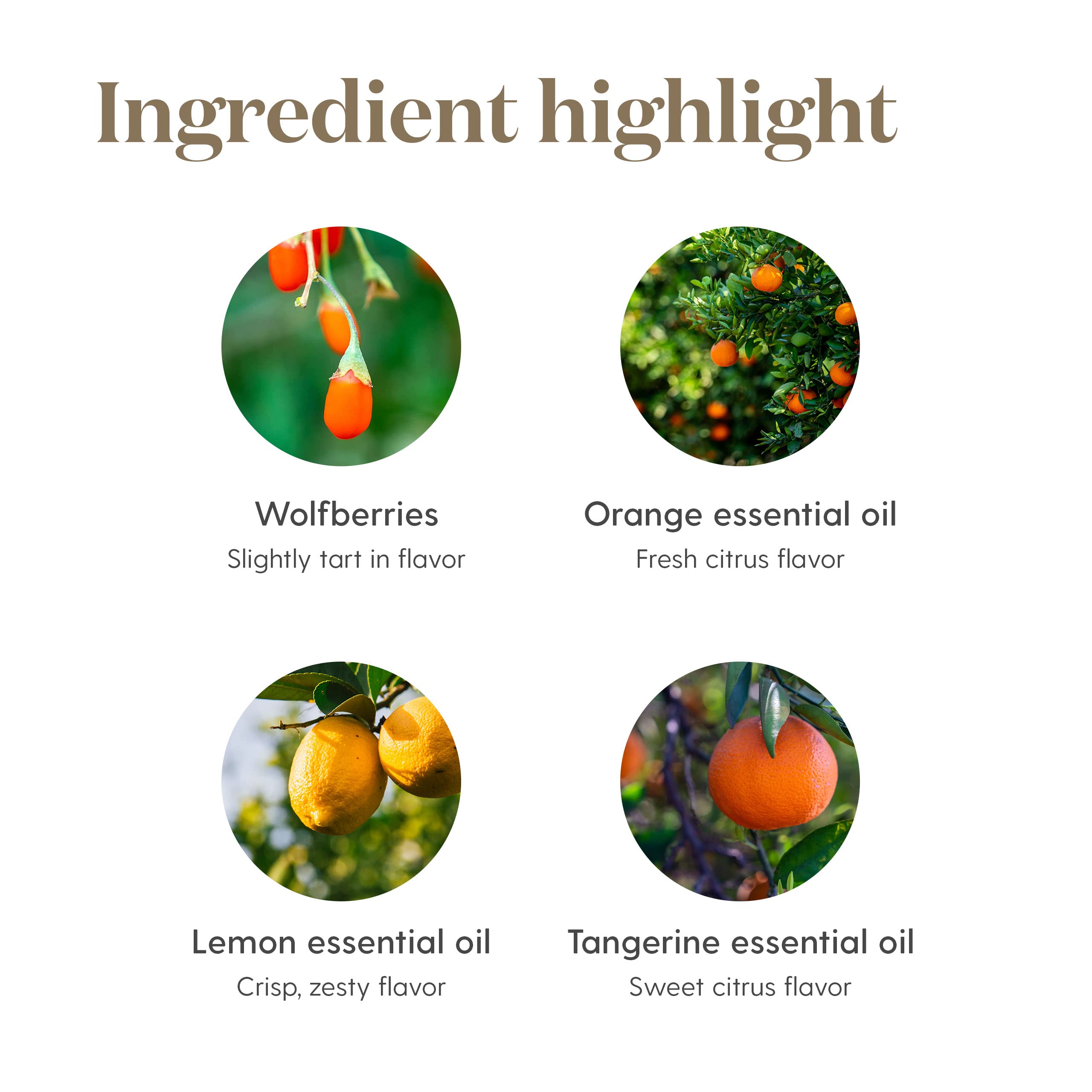 Young Living NingXia Red Antioxidant Drink - 2 Pack (25.35 oz each) | Energy & Wellness Support with Wolfberry, Blueberry & Essential Oils | Perfect for Daily Nutrition & Active Lifestyle Boost