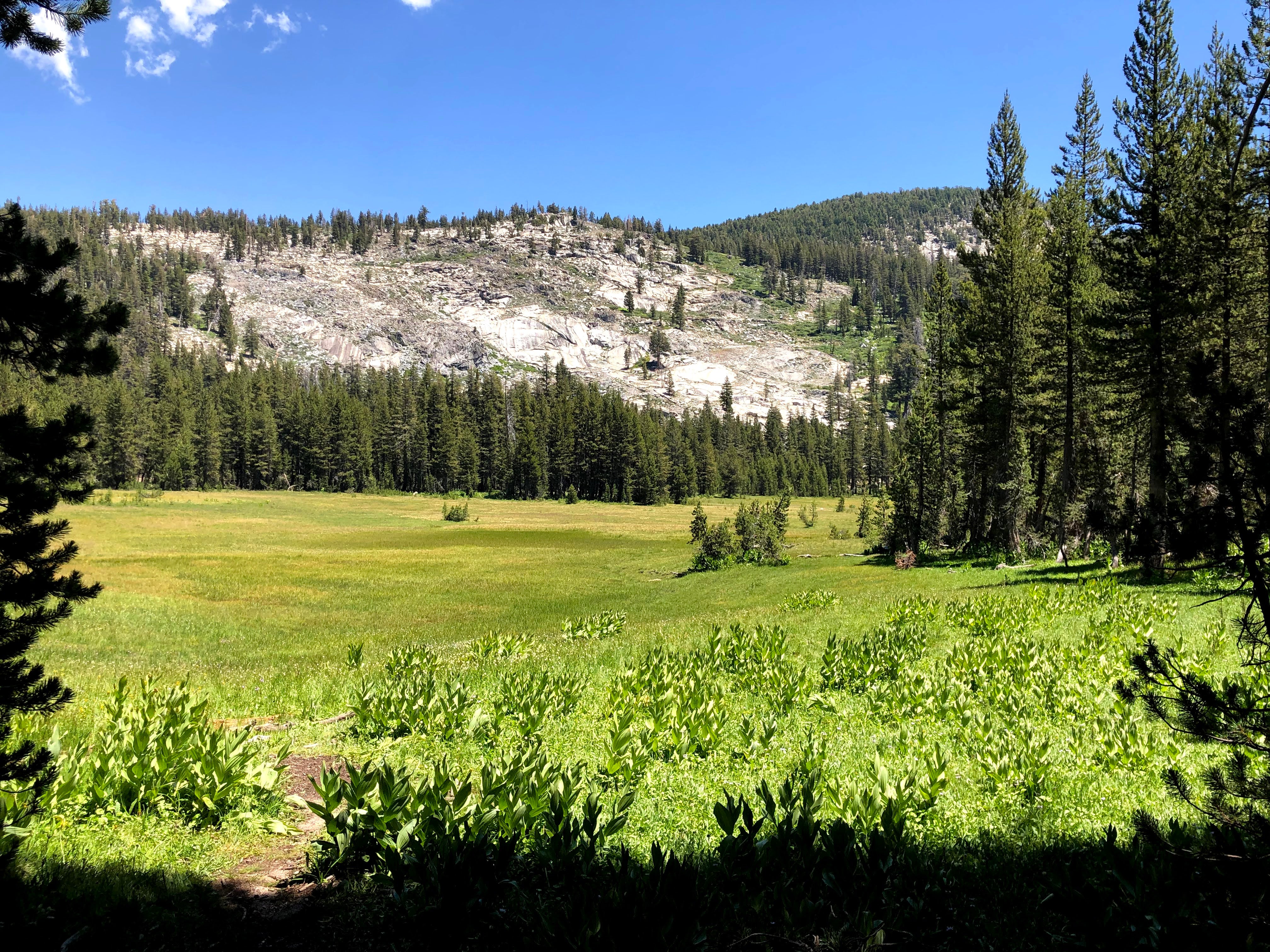 Best Backpacking Gear for Yosemite's Ten Lakes Trail - Lightweight Hiking Equipment for Outdoor Adventures | Perfect for Weekend Camping and Wilderness Exploration