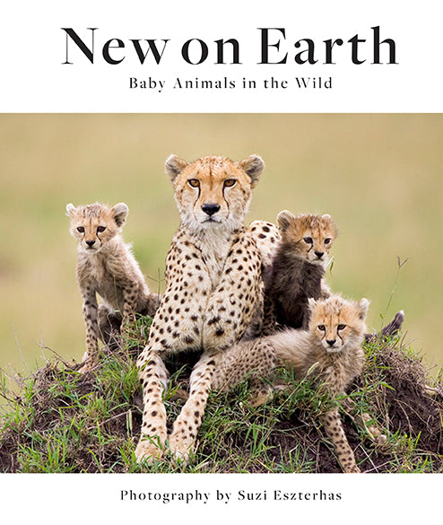 New on Earth - Latest Eco-Friendly Products for Sustainable Living | Perfect for Home, Office & Outdoor Use