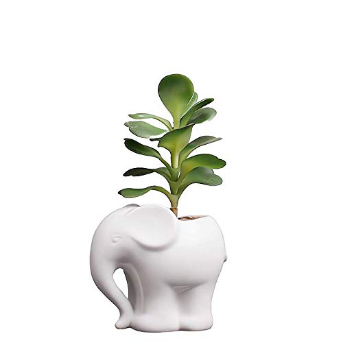 Adorable Elephant Shaped Ceramic Succulent Planter - Cute Animal Flower Pot for Air Plants, Cactus & Small Plants (White) - Perfect for Home Decor, Office Desk & Gift Ideas