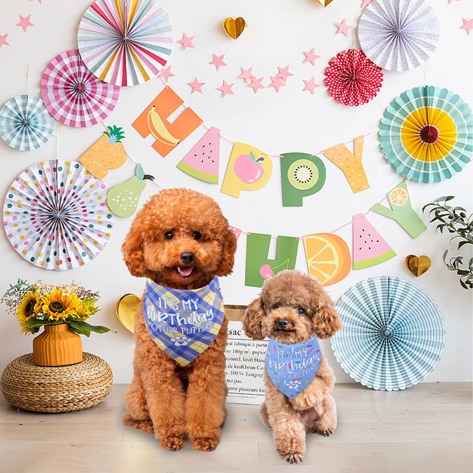 Reversible Dog Birthday Bandana - Small to Medium Size for Pets & Cats | Perfect for Dog Birthday Parties, Celebrations & Special Occasions