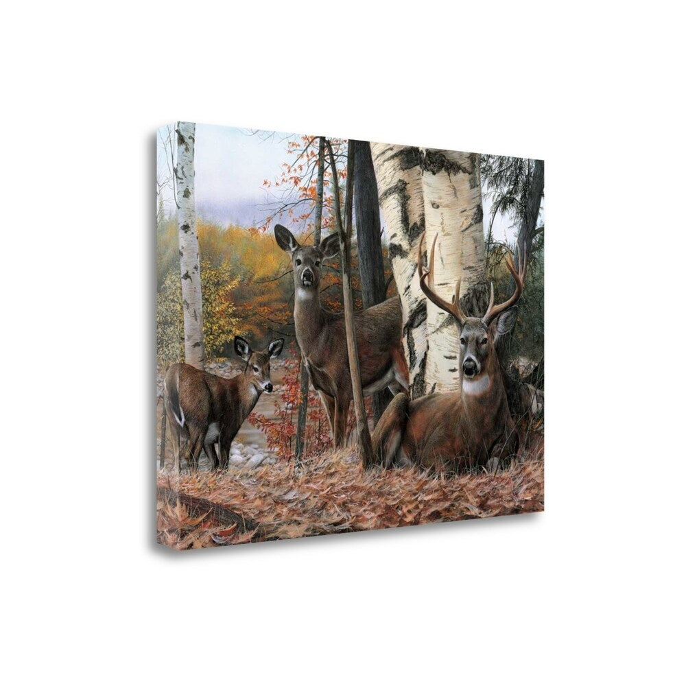Autumn Majesty by Kevin Daniel - Premium Giclee Art Print on Gallery Wrapped Canvas, Ready to Hang Wall Decor for Living Room, Bedroom & Office