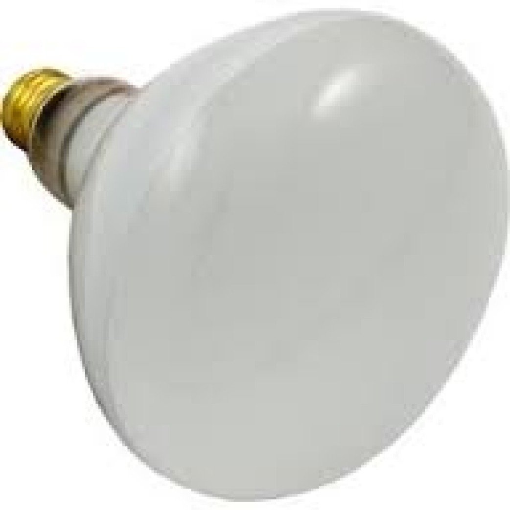 PUREX CHD/POOL STAR 70525 500W R40 Light Bulb, 120 Volt, High-Intensity Floodlight for Outdoor Pools and Landscape Lighting