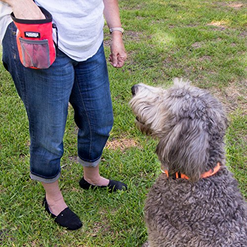 **Premium Dog Treat Pouch for Training – Durable & Washable Dog Treat Bag with Mesh Pocket – Convenient Snack & Toy Carrier for Puppy & Dog Training – Perfect for Walks, Hikes & Outdoor Adventures (Blue)**