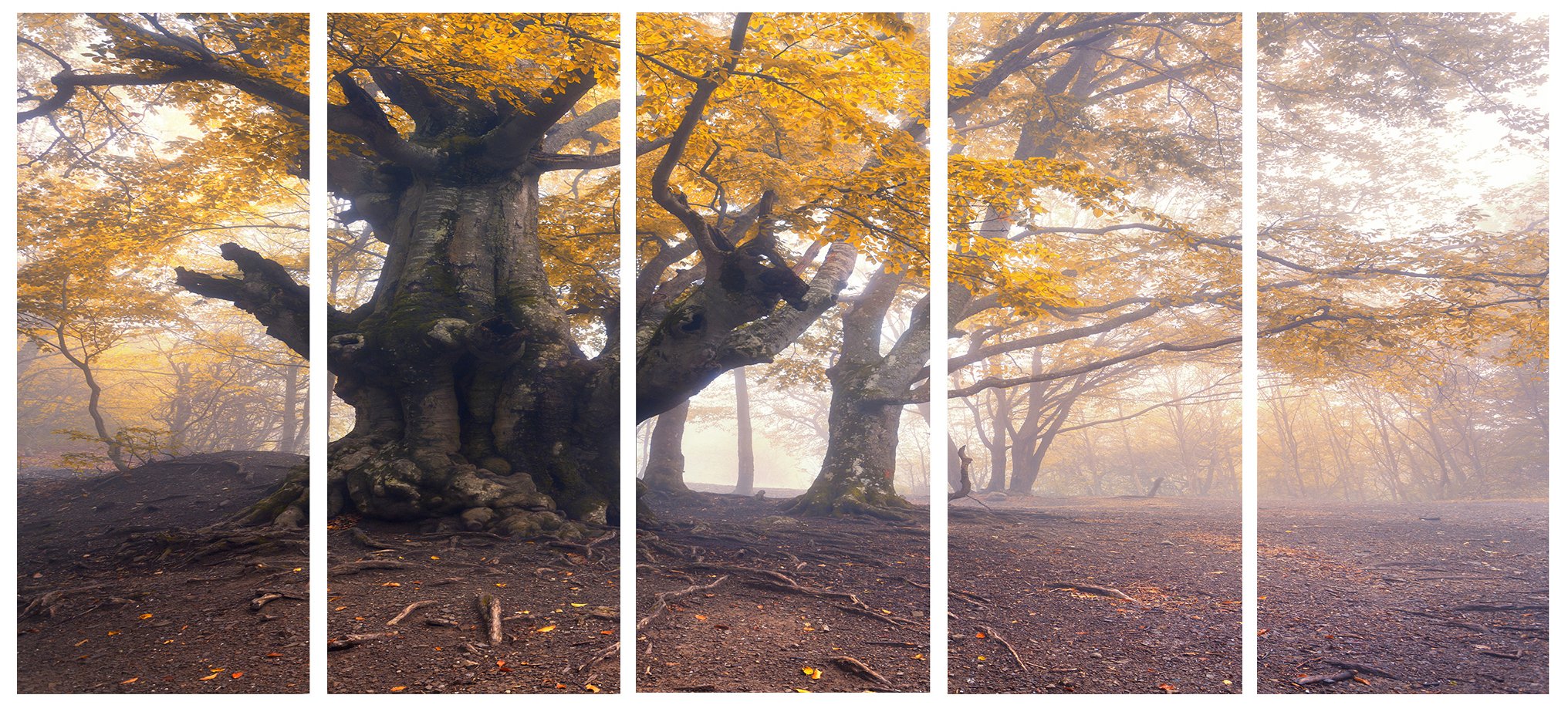 Designart Dark Tree with Yellow Leaves Landscape Photo Canvas Print - 60x28.5 Inches, 5 Equal Panels - Modern Wall Art for Living Room, Bedroom & Office Decor