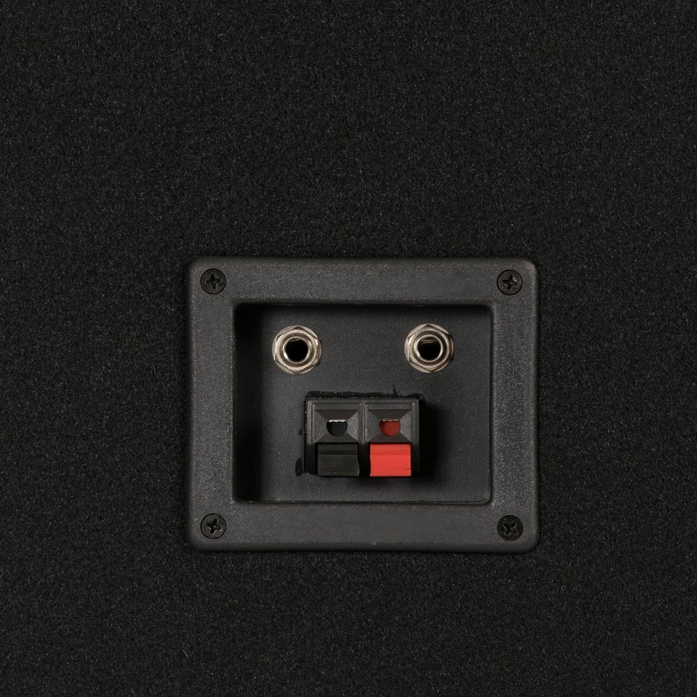 Acoustic Audio CR12 Passive 12