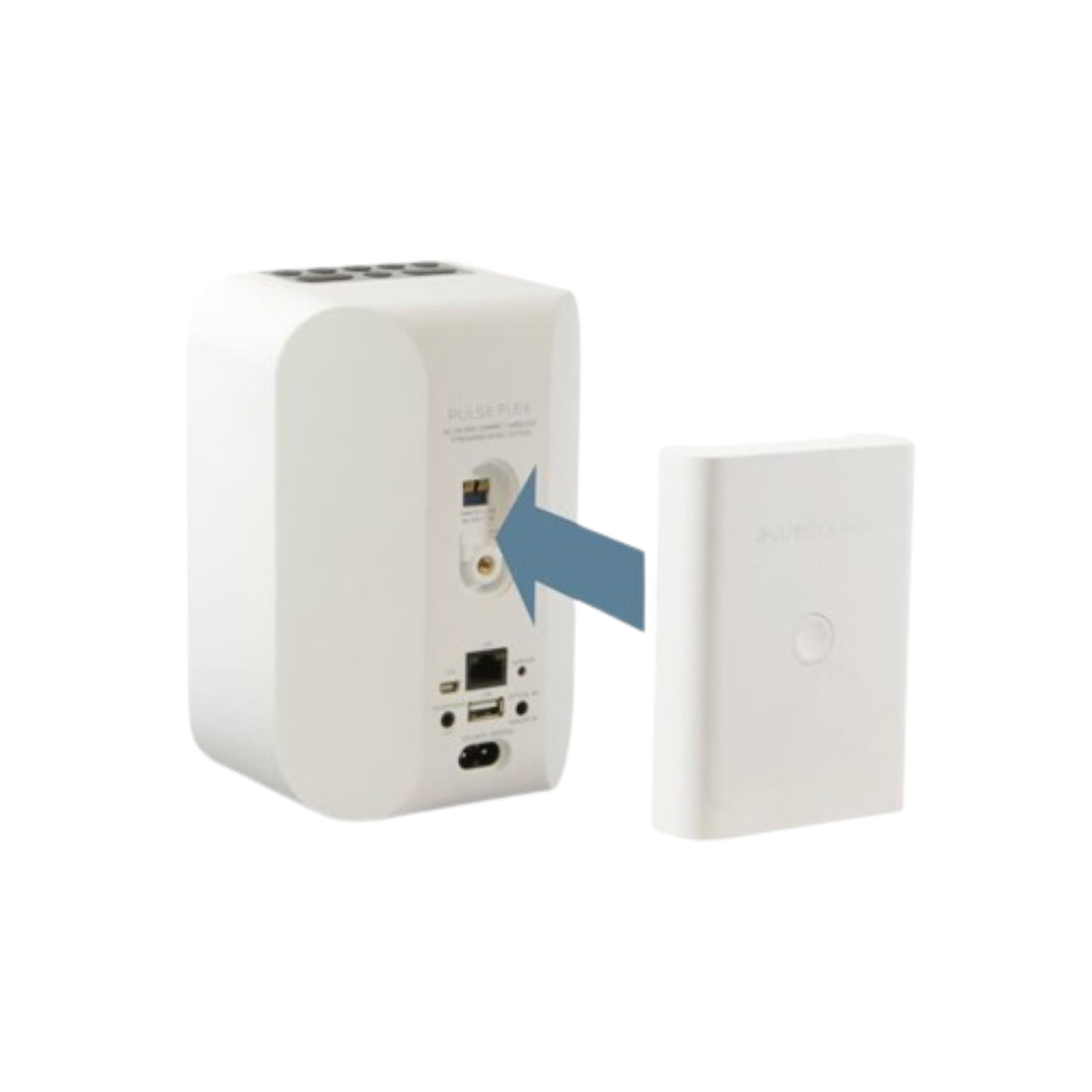 Bluesound BP100 PULSE FLEX Portable Battery Pack for Wireless Speakers - Perfect for Outdoor Parties, Travel & Home Use