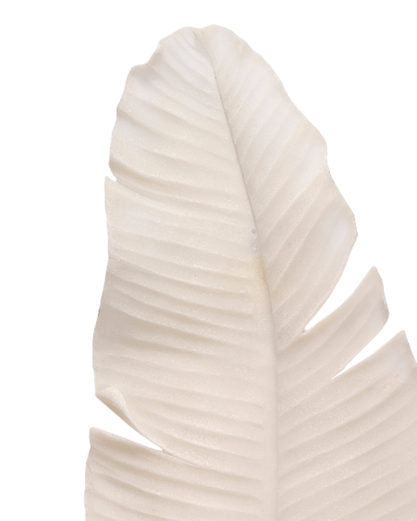 Feather Object - Decorative Feathers for Home Decor, DIY Crafts, and Party Supplies | Perfect for Centerpieces, Costumes, and Gift Wrapping