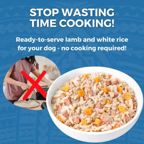 KOHA Limited Ingredient Lamb & White Rice Dog Food - Grain-Free, Hypoallergenic Dry Kibble for Sensitive Stomachs - Perfect for Dogs with Food Allergies or Digestive Issues