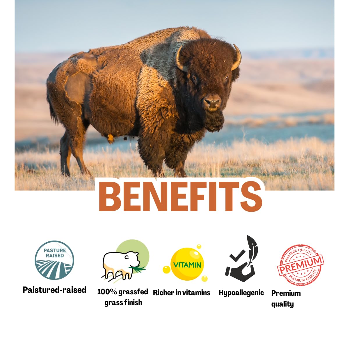 Bison Tallow Balm with Honey & Emu Oil - Natural Skincare for Sensitive Skin - 2 fl oz | Soothes Dryness & Eczema