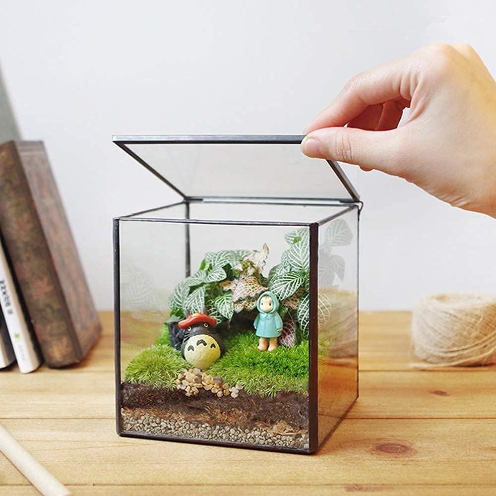 Square Glass Terrarium with Lid - 4.3x4.3x4.7 Inch Small Indoor Plant Box for Succulents, Moss & Air Plants - Handmade Geometric Tabletop Planter in Black - Perfect for Home Decor, Office Desk & Gift Ideas