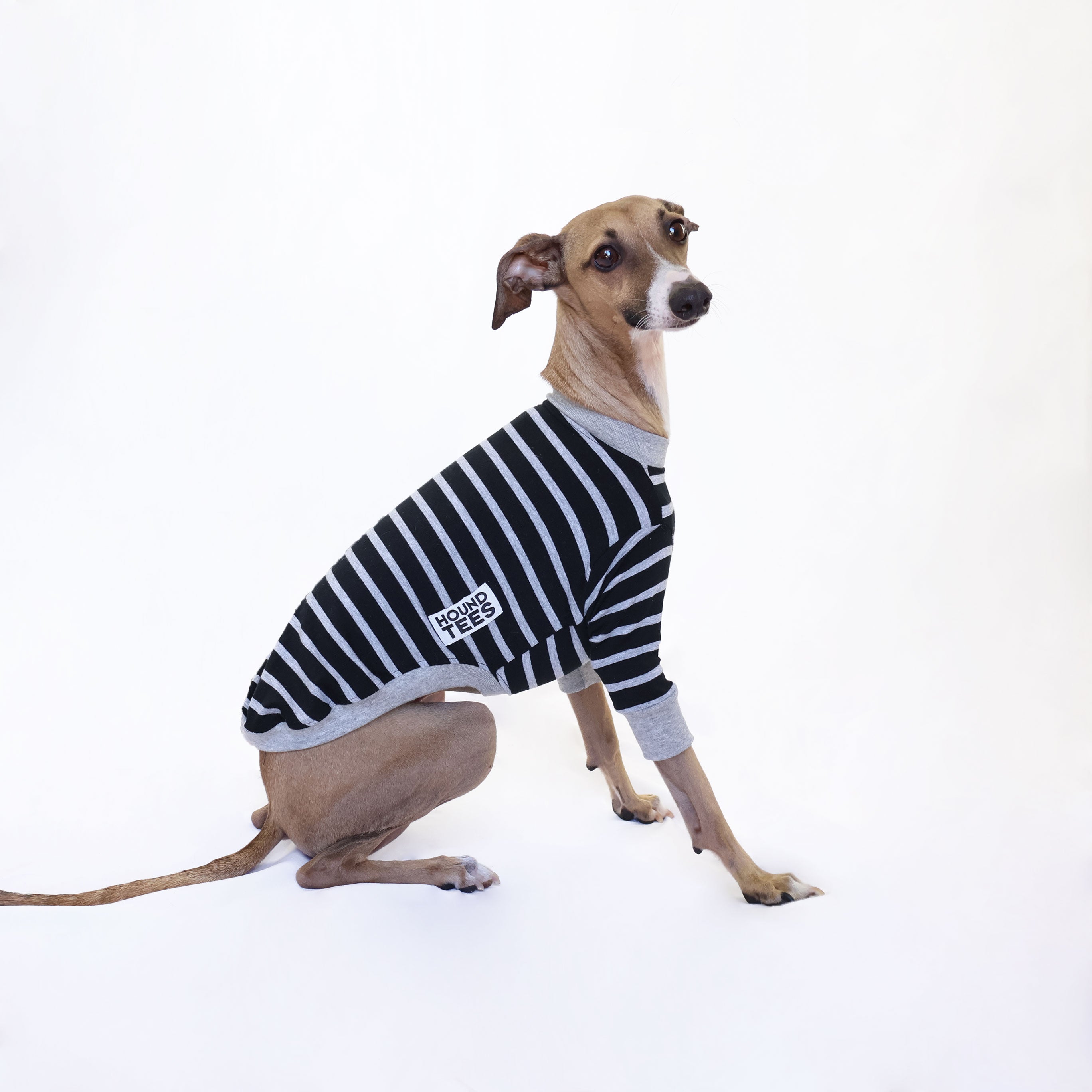 Rebel Italian Greyhound Long Sleeve Dog T-Shirt - Comfortable Pet Lover Apparel for Casual Wear & Dog Walking