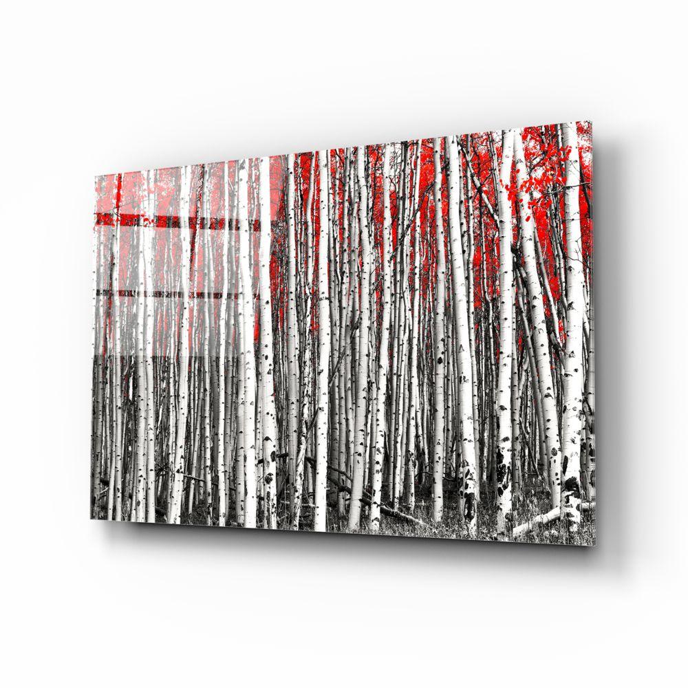 Red Forest - Premium Outdoor Camping Gear & Hiking Equipment for Adventure Enthusiasts | Perfect for Backpacking, Trekking & Wilderness Exploration