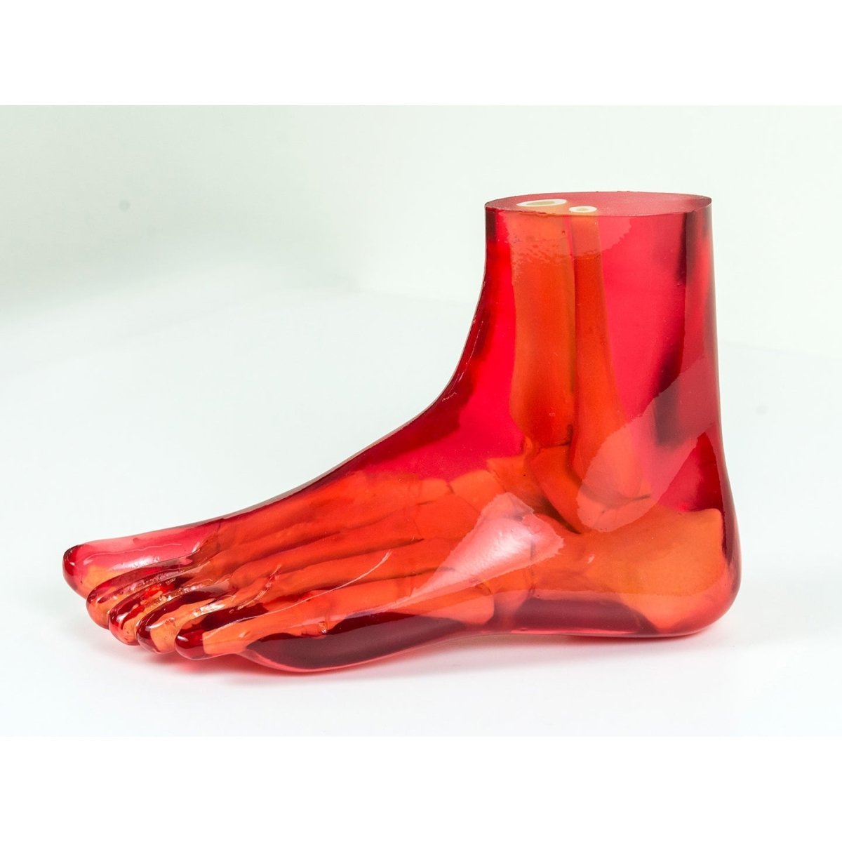 Plantar Flexion Support Brace for Foot & Ankle Pain Relief - Comfortable & Adjustable Orthotic Device for Running, Walking & Sports Recovery