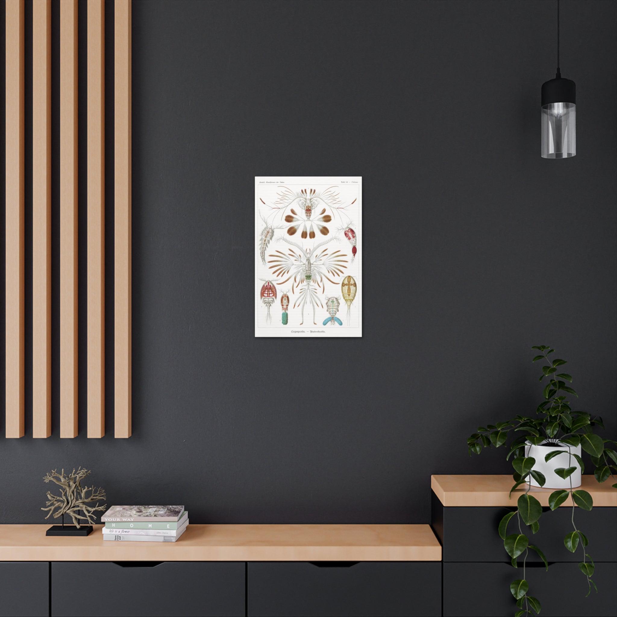 Copepoda Ruderkrebse by Ernst Haeckel - Premium Canvas Art Print for Home & Office Decor | Marine Biology Wall Art | Scientific Illustration Gift
