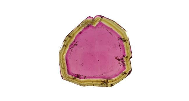 Natural Tourmaline Slice - 47.98 Carats | Genuine Gemstone for Jewelry Making, Crystal Healing & Home Decor | Perfect for Pendants, Rings & Meditation Spaces