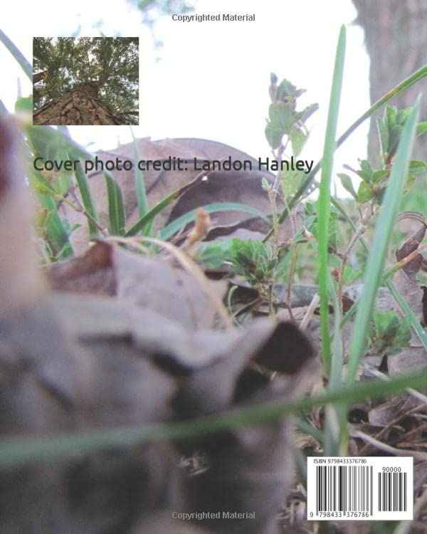 Games, Gardens, and Groundhogs: A Whimsical Adventure by Kristin L. Hanley - Perfect for Family Reading & Nature-Themed Storytime