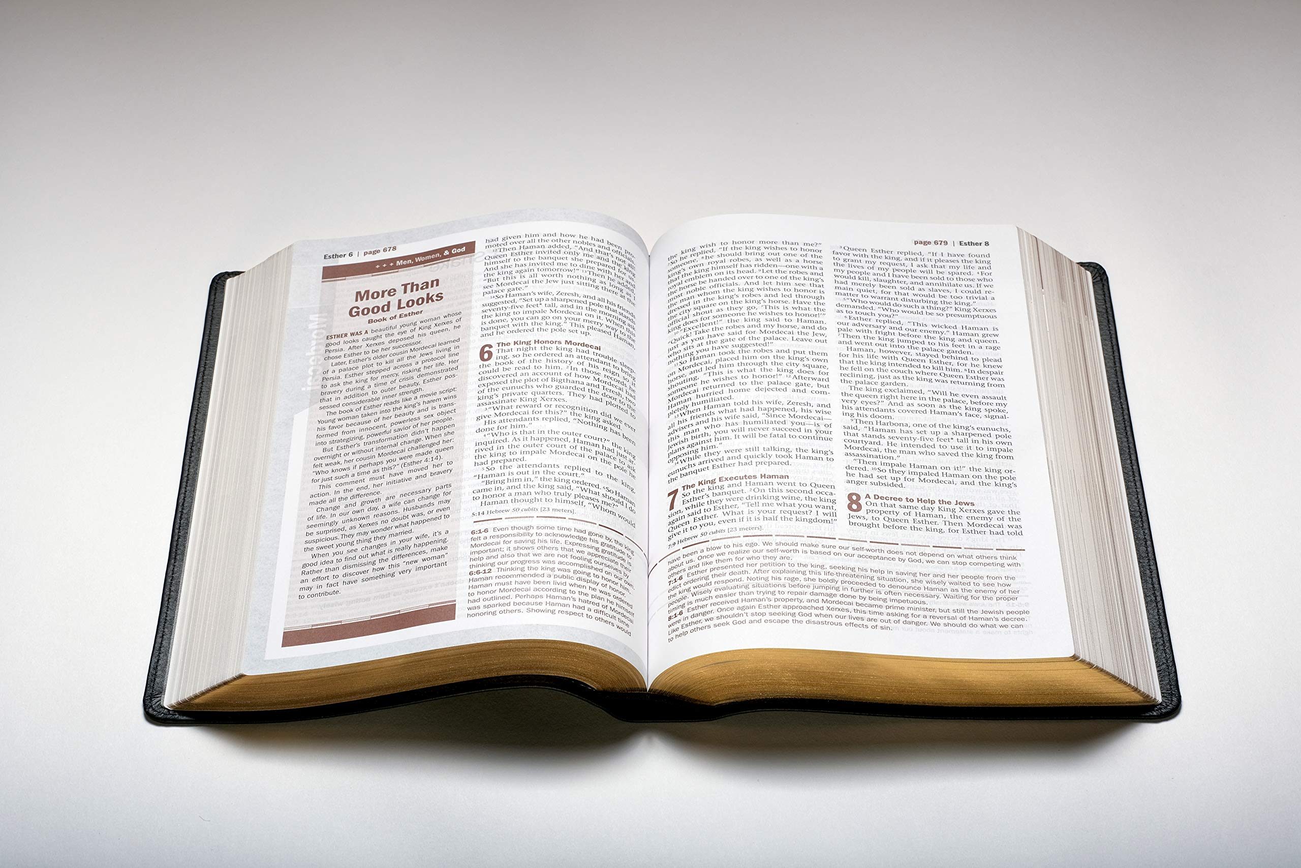 Every Man's Bible NLT - Deluxe Messenger Edition LeatherLike Brown | Study Bible for Men with Notes, Charts & Book Introductions | Perfect for Devotionals, Bible Study & Gifts