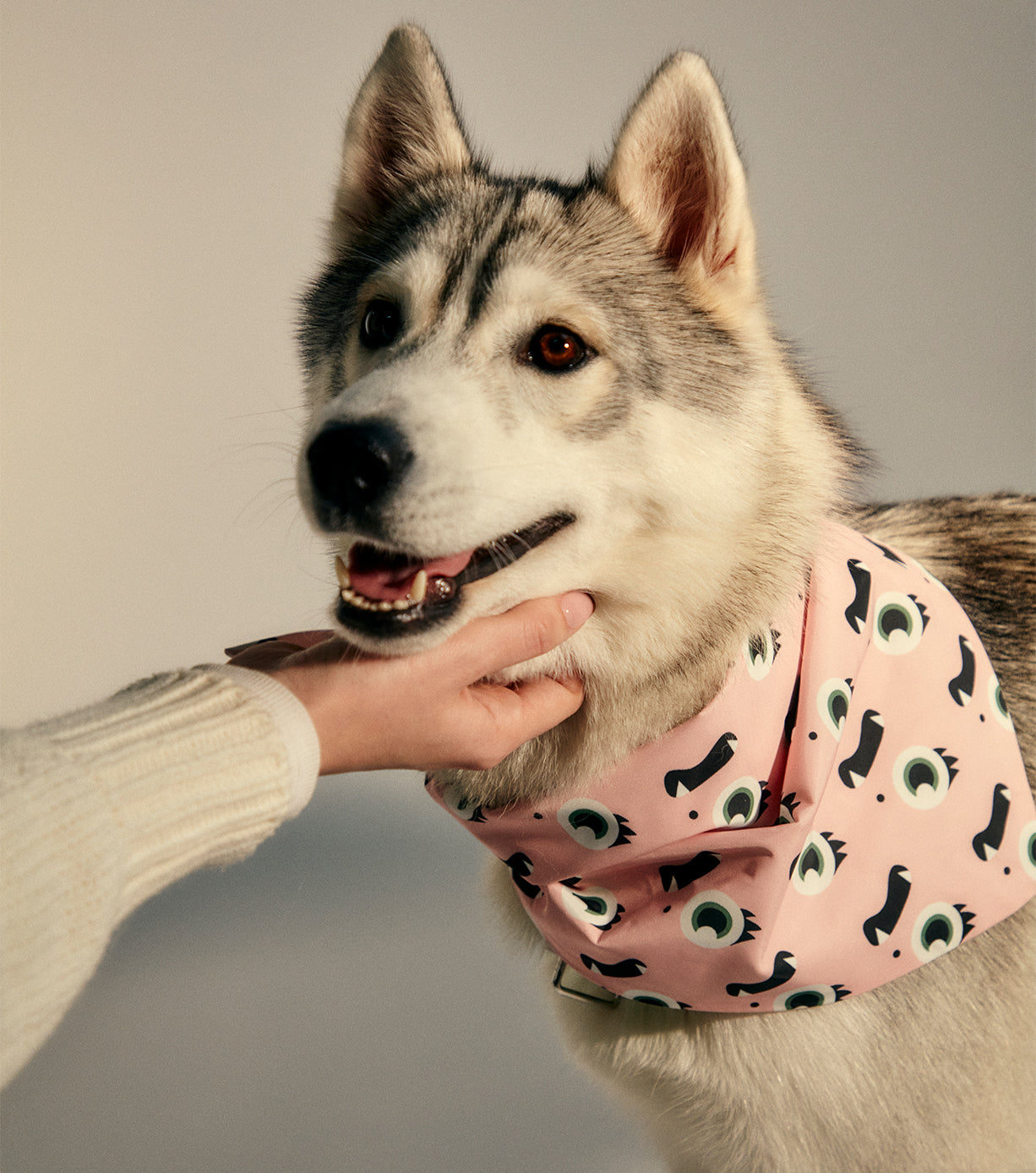 Stylish Pet Bandanas for Dogs & Cats - Soft & Comfortable Dog Bandana & Cat Scarf - Perfect for Holidays, Birthdays & Everyday Wear
