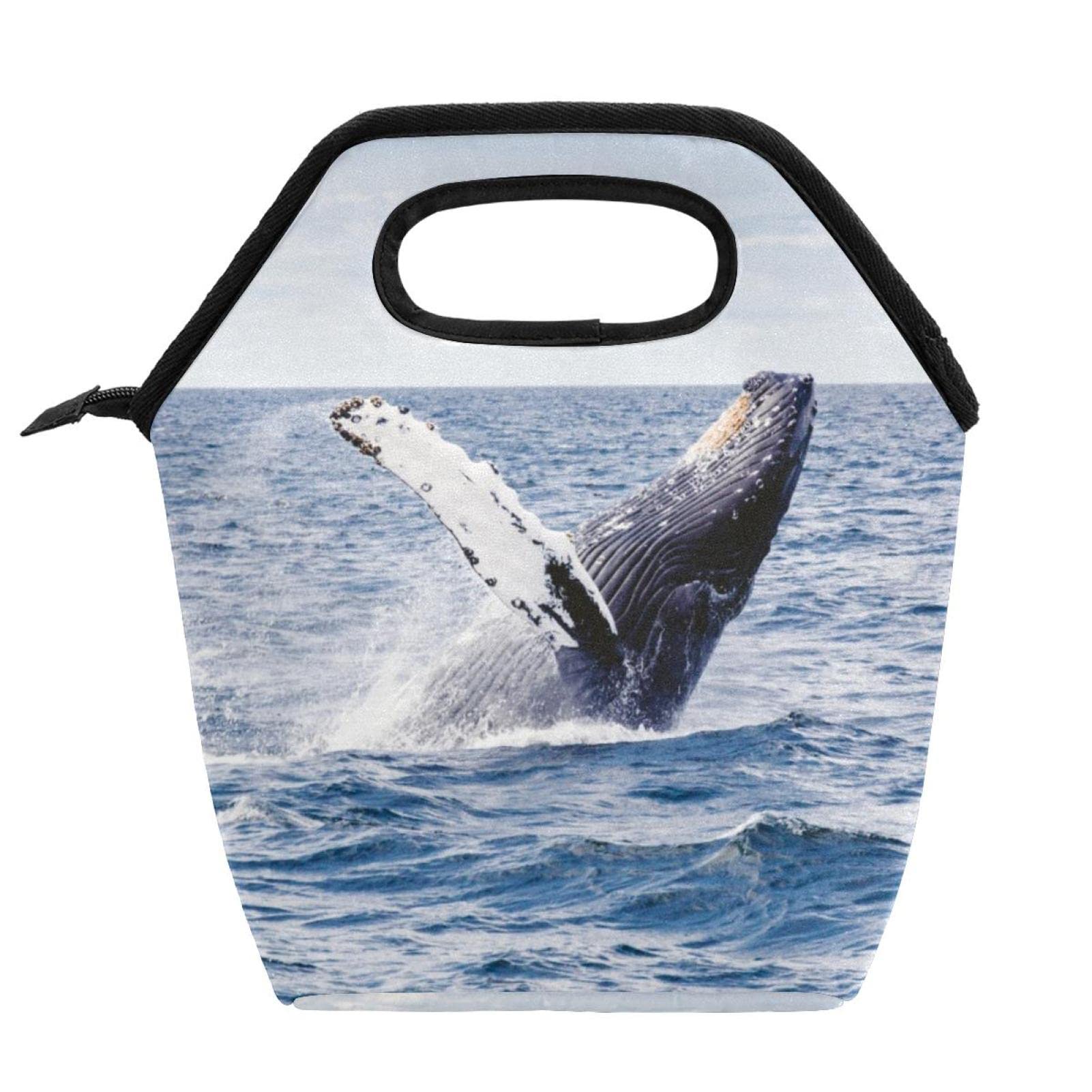 Whale Insulated Lunch Bag - Waterproof & Leak-Proof Cooler Tote for School, Work, Picnic - Thermal Food Container Organizer for Men, Women, Kids | Perfect for Office, Beach, Camping & Outdoor Activities