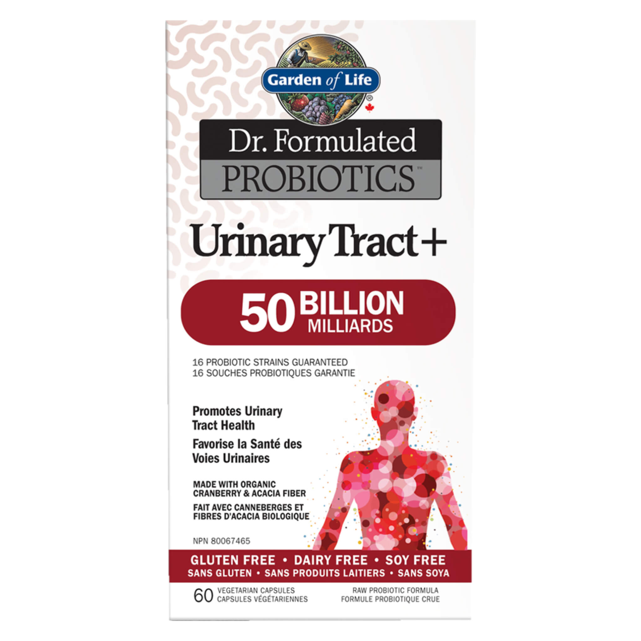 Dr. Formulated Probiotics for Urinary Tract Health - 50 Billion CFU Shelf-Stable Supplement | Supports Bladder & Digestive Wellness - Daily Use for Women & Men