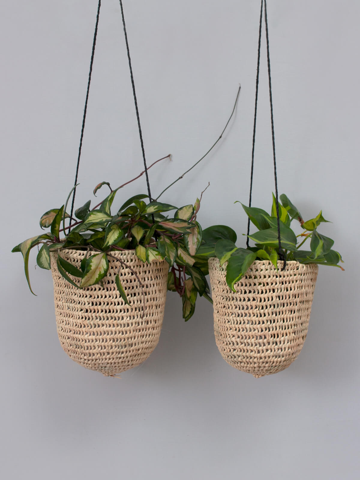 Black Open Weave Dome Hanging Baskets - Decorative Plant Holders for Indoor/Outdoor Gardens, Patios & Balconies
