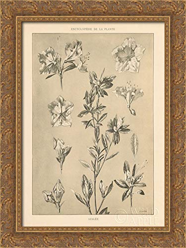 Canvas Art in a Gold Ornate Wood Frame