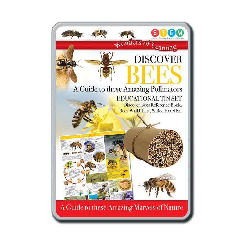 Discover Bees Tin Set - Premium Honey Storage & Gift Box for Tea, Coffee, and Spices | Perfect for Kitchen, Pantry & Thoughtful Gifting