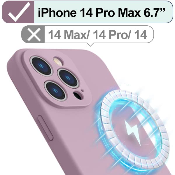 Lavander Purple