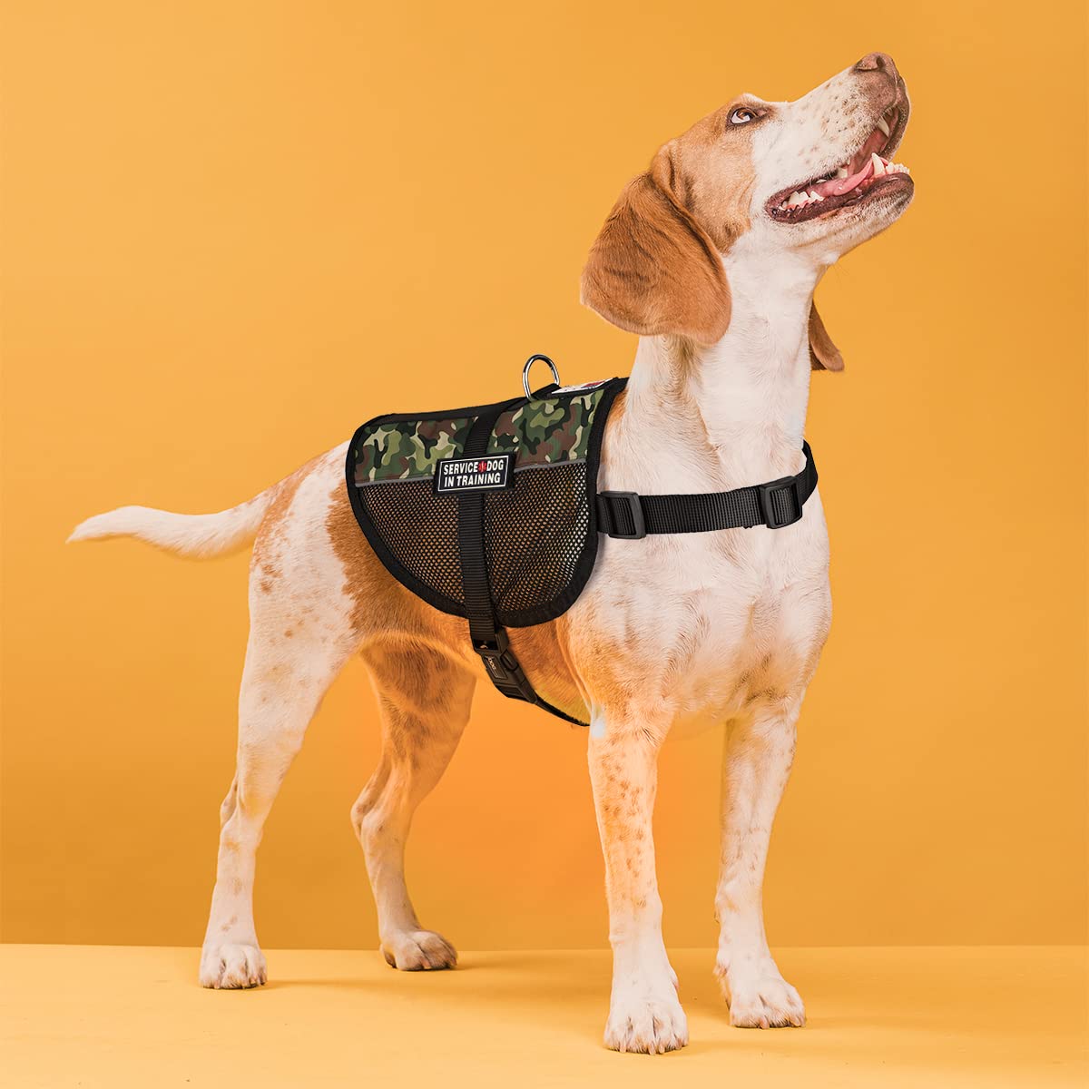 MaxAire Adjustable Dog Vest with Removable Service Dog in Training Patches - Reflective Harness for Small, Medium & Large Dogs (13-16 Inch Girth) - Green Camo - Perfect for Training, Outdoor Adventures & Night Walks