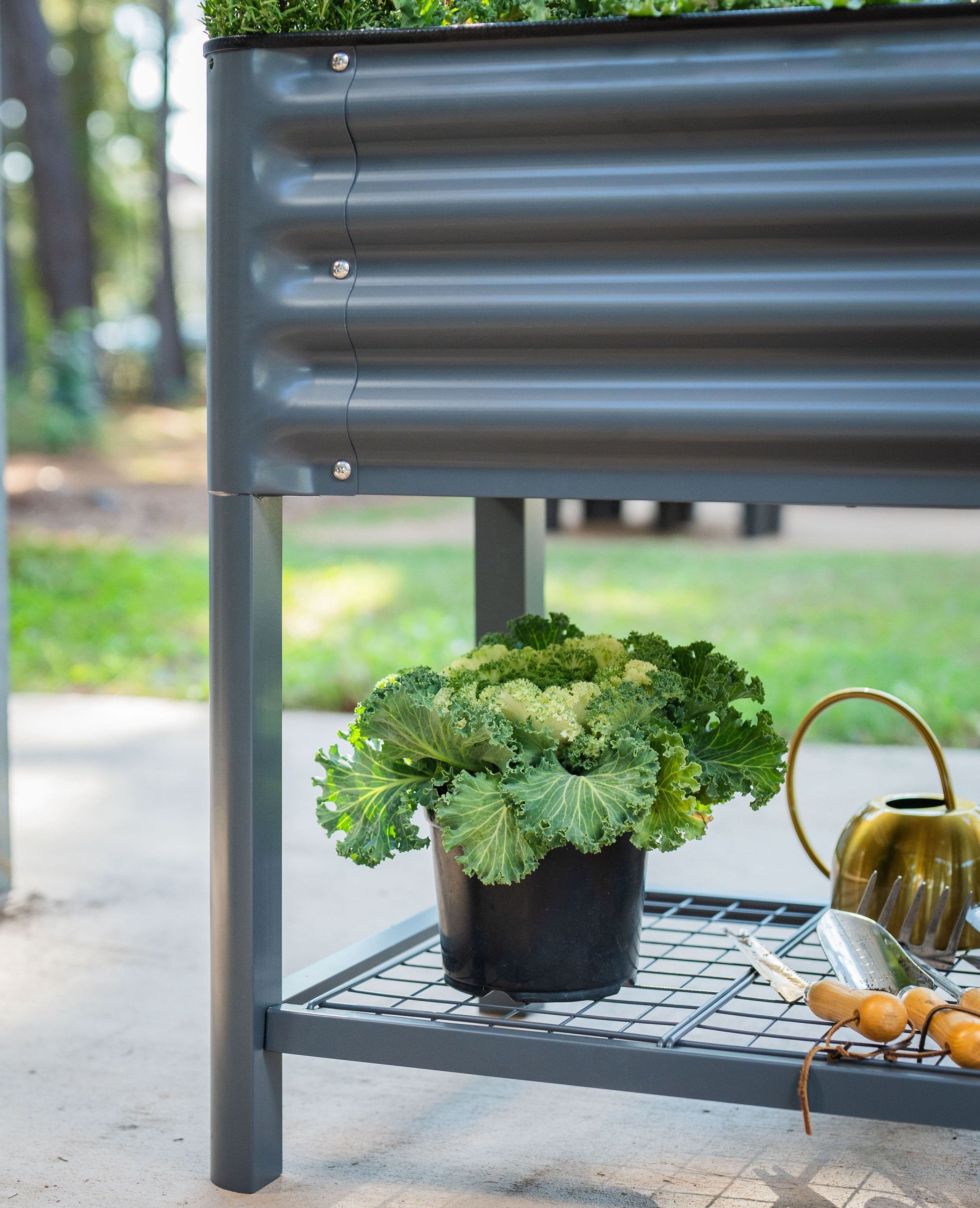 JP’s Elevated Garden Bed 2' x 6' - Raised Planter Box for Vegetables, Herbs & Flowers - Perfect for Backyard, Patio & Small Space Gardening