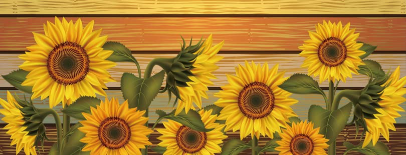 Sunflowers on Colorful Wooden Boards