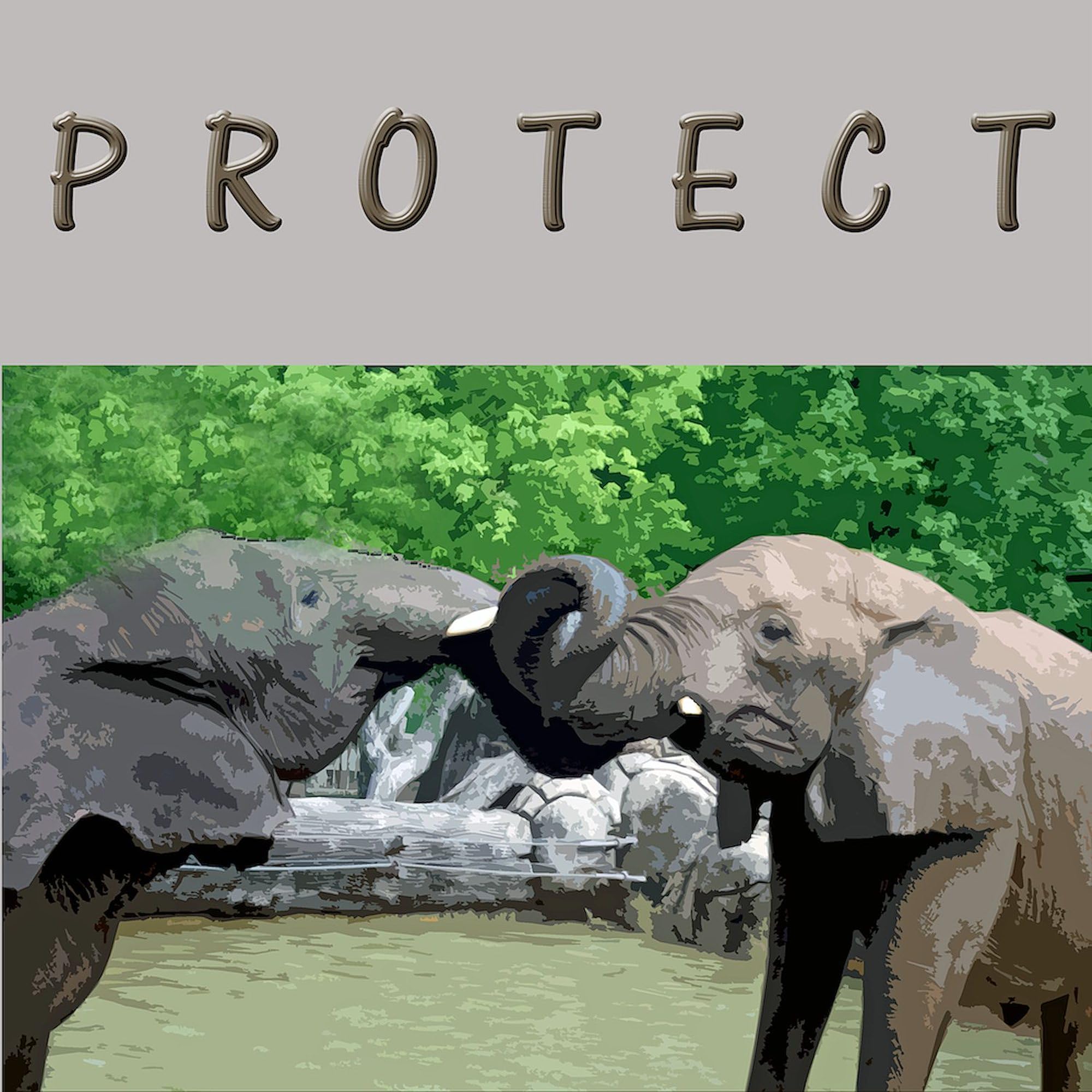 African Elephant Canvas Tote Bag - Eco-Friendly Reusable Shopping Bag for Groceries, Beach & Everyday Use | Durable Natural Cotton Carryall