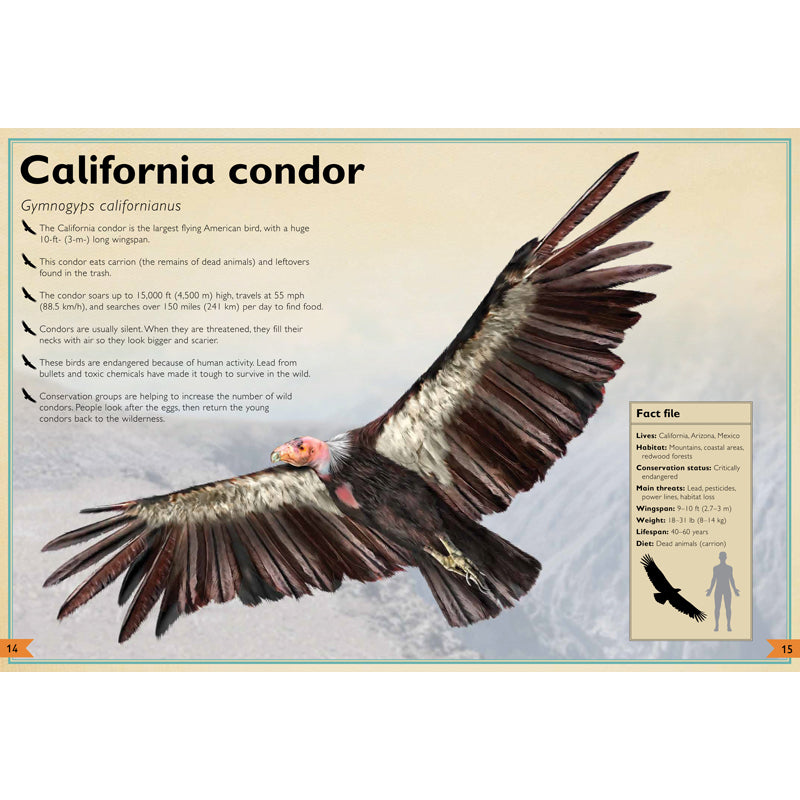 The Magnificent Book of Endangered Animals - Wildlife Conservation Guide for Kids & Adults | Perfect for Education, Gifts & Nature Lovers
