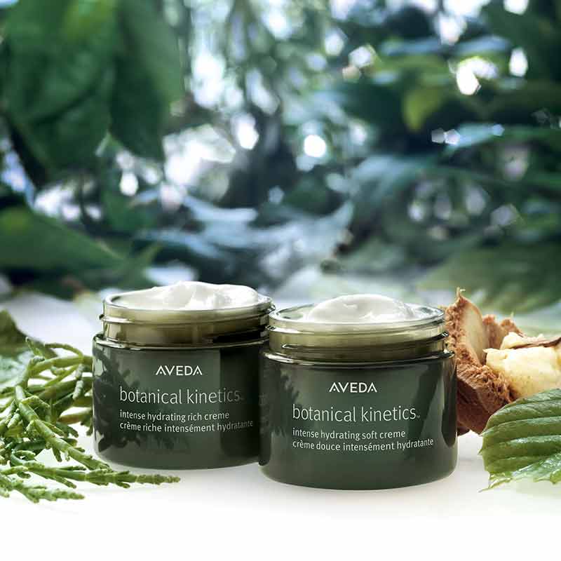 Aveda Botanical Kinetics Hydrating Water Gel Creme | Moisturizing Face Cream for Dry Skin | Vegan & Cruelty-Free Skincare | Perfect for Daily Hydration & Nighttime Routine