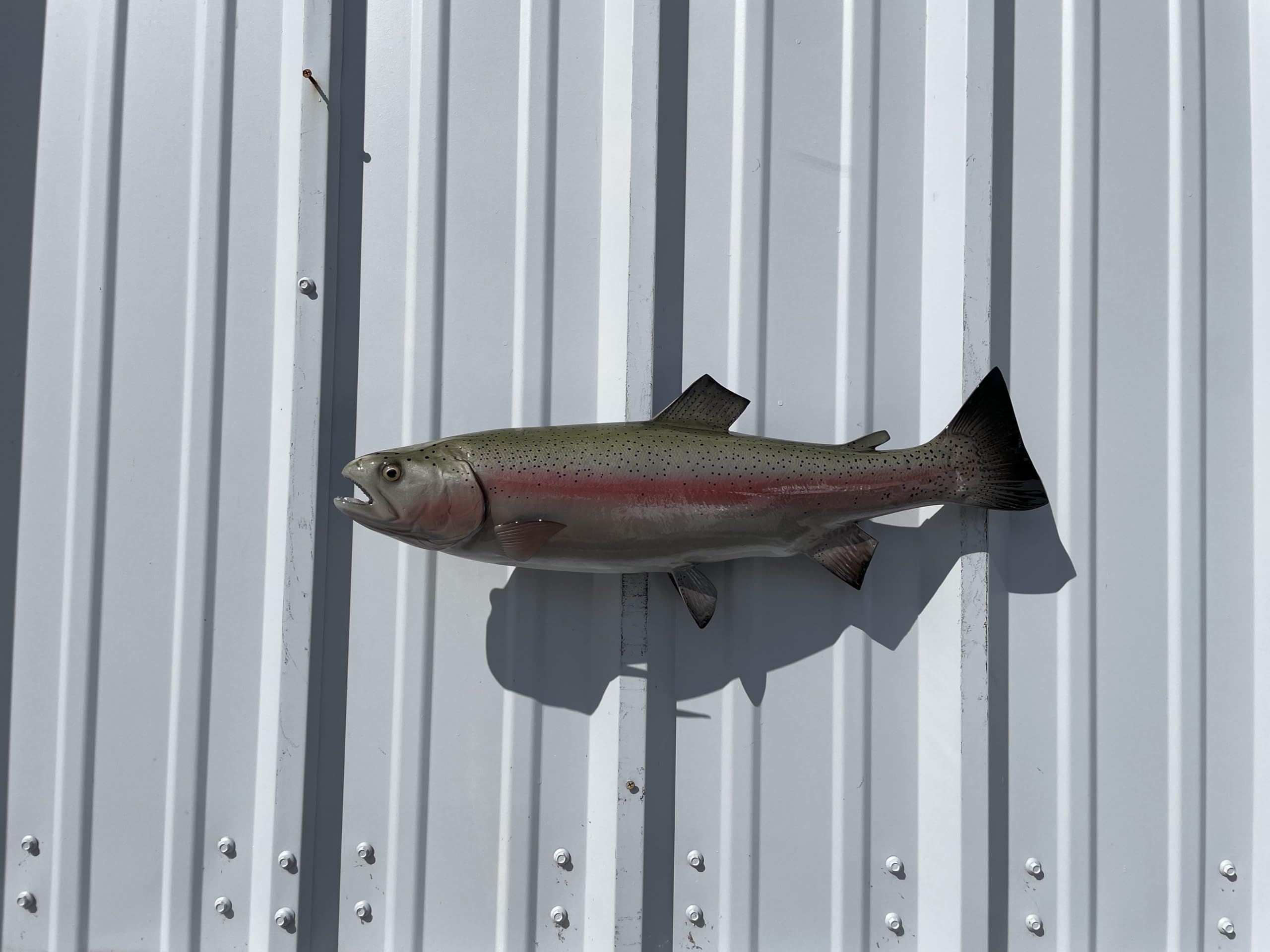 Trout Fish Mount Replicas - Lifelike Wall Decor for Home & Office - Indoor/Outdoor Durable Display - Perfect for Fishing Enthusiasts & Cabin Decor