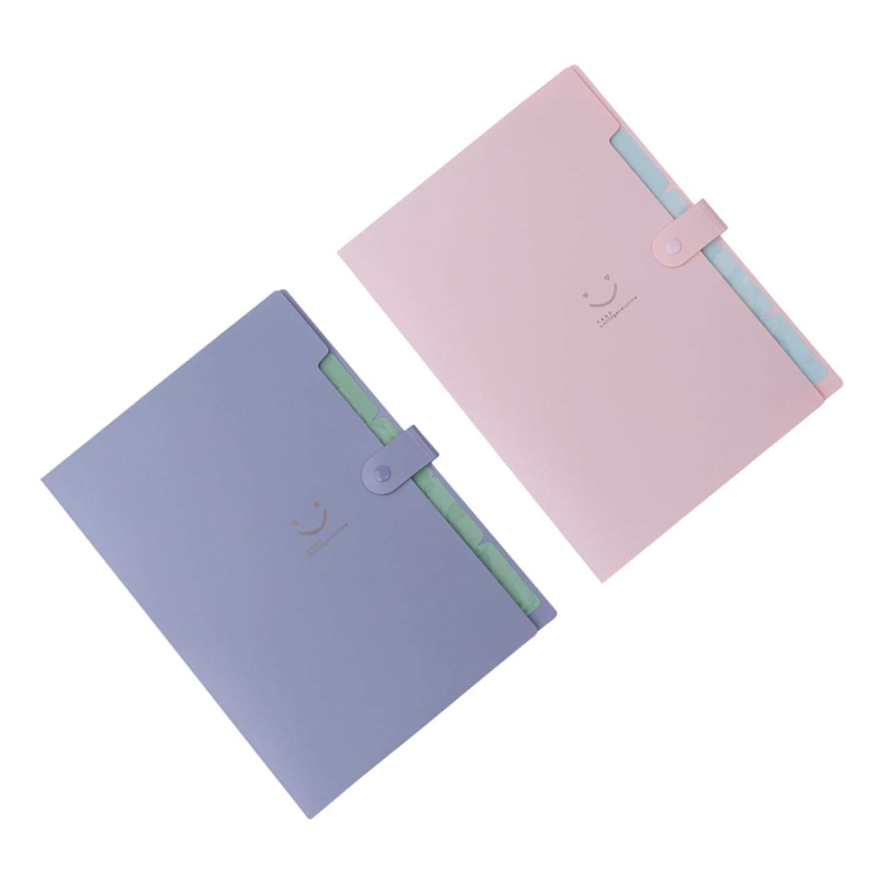 VILLCASE 2-Pack A4 File Folders with Inserted Pages - Multi-Layer PP Organizer for Office Documents | Perfect for Organizing Contracts, Reports and Office Paperwork