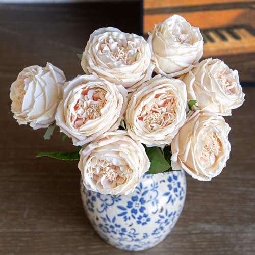 Champagne 4pcs(not Include Vases)