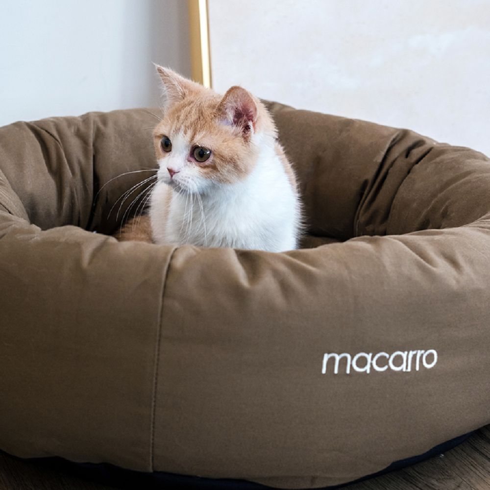 Premium Donut Latex Pet Bed - Ultra Soft & Comfortable Dog & Cat Bed for Small to Medium Pets - Perfect for Cuddling, Napping & Relaxing at Home or Travel