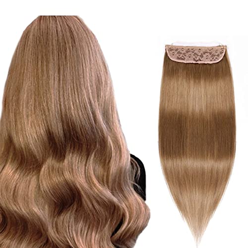 #8 Chestnut Brown