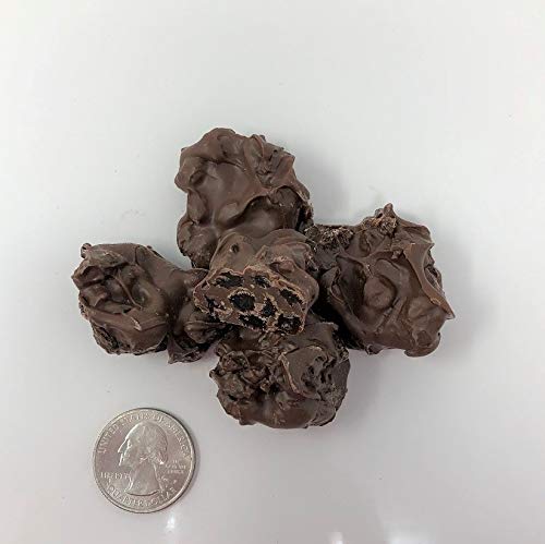 Gourmet No Sugar Added Raisin Clusters Milk Chocolate Candy 1 Pound - Healthy Snack for Kids, Office Treats & Holiday Gift Baskets