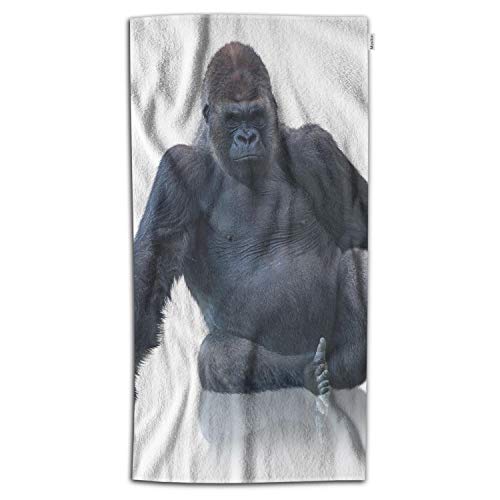 Black Silverback Gorilla