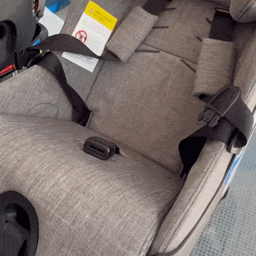 Clek P Thingy - Premium Car Seat Organizer for Kids | Perfect for Travel, Road Trips & Daily Commutes
