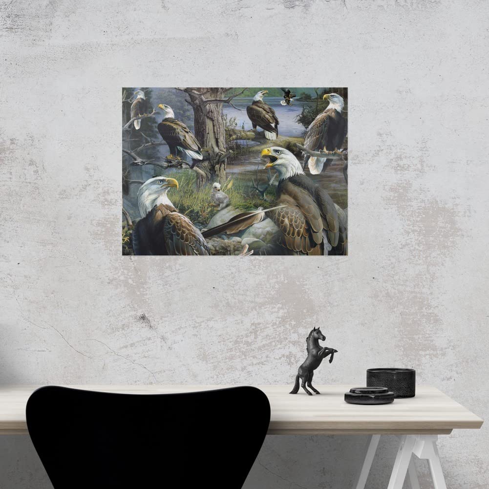 Bald Eagle and Baby Eaglet Raptor Collage Wall Art - Premium Wildlife Poster for Home & Office Decor | Perfect for Living Room, Bedroom, or Classroom