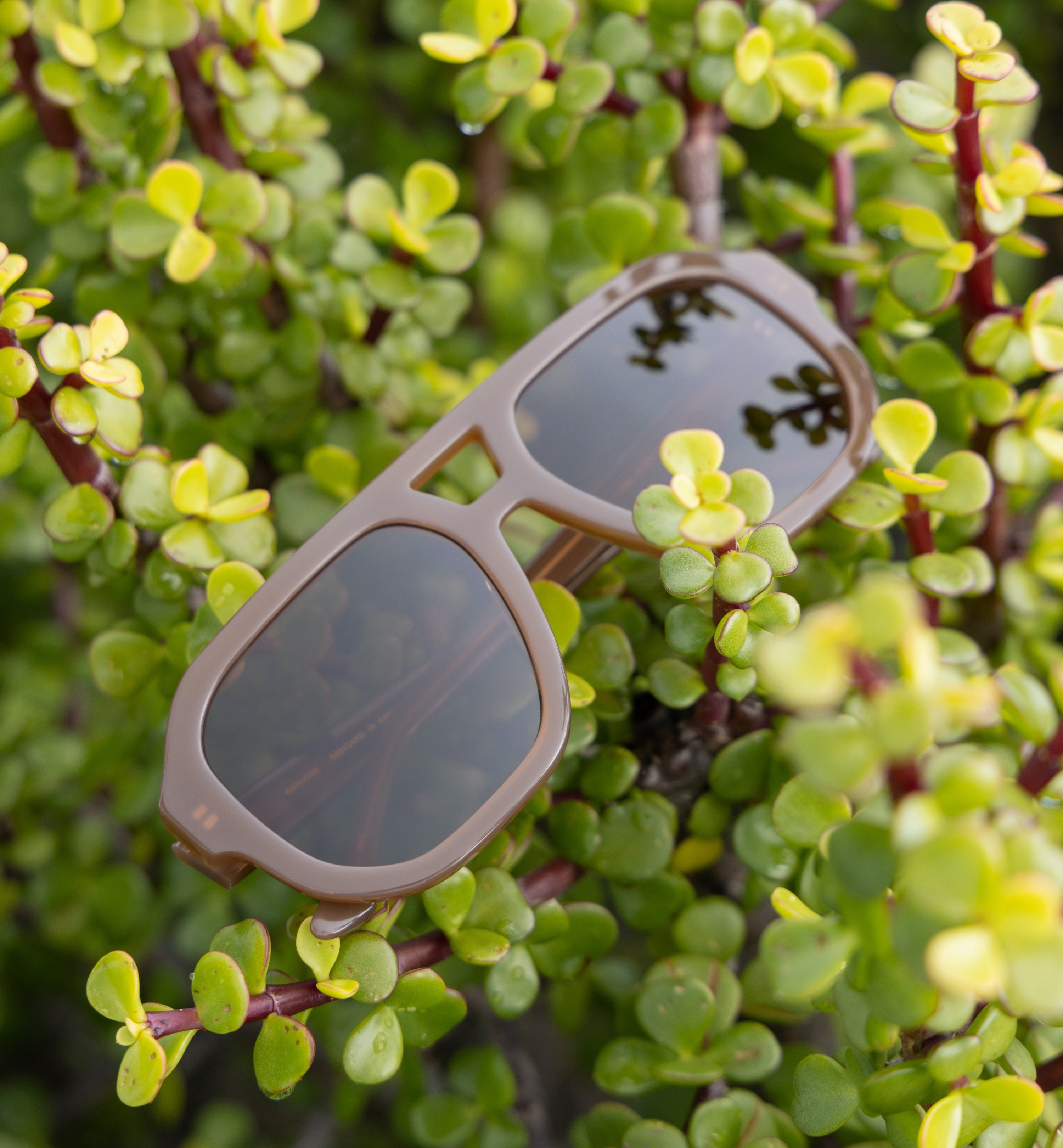 Polarized Fishing Sunglasses for Men & Women - UV Protection, Non-Slip Rubber Nose Pads - Perfect for Boating, Driving, and Outdoor Activities