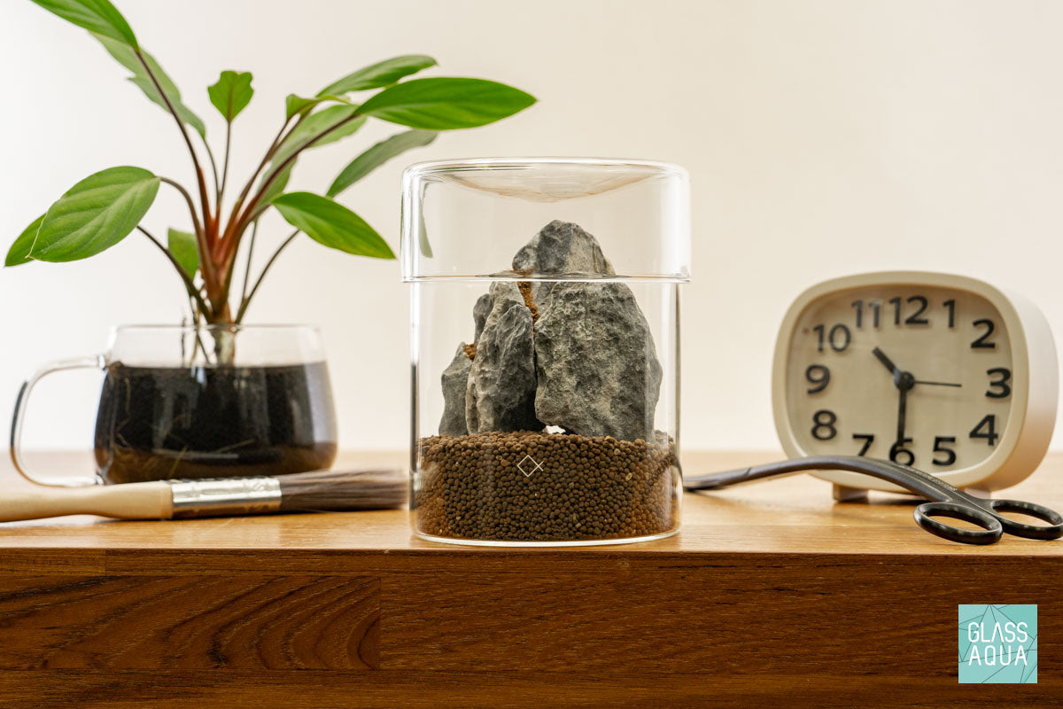 DIY Miniature Terrarium Kit - Complete Succulent & Air Plant Glass Garden Set with Tools & Decorations | Perfect for Home Office Decor, Gifts, and Relaxation Therapy