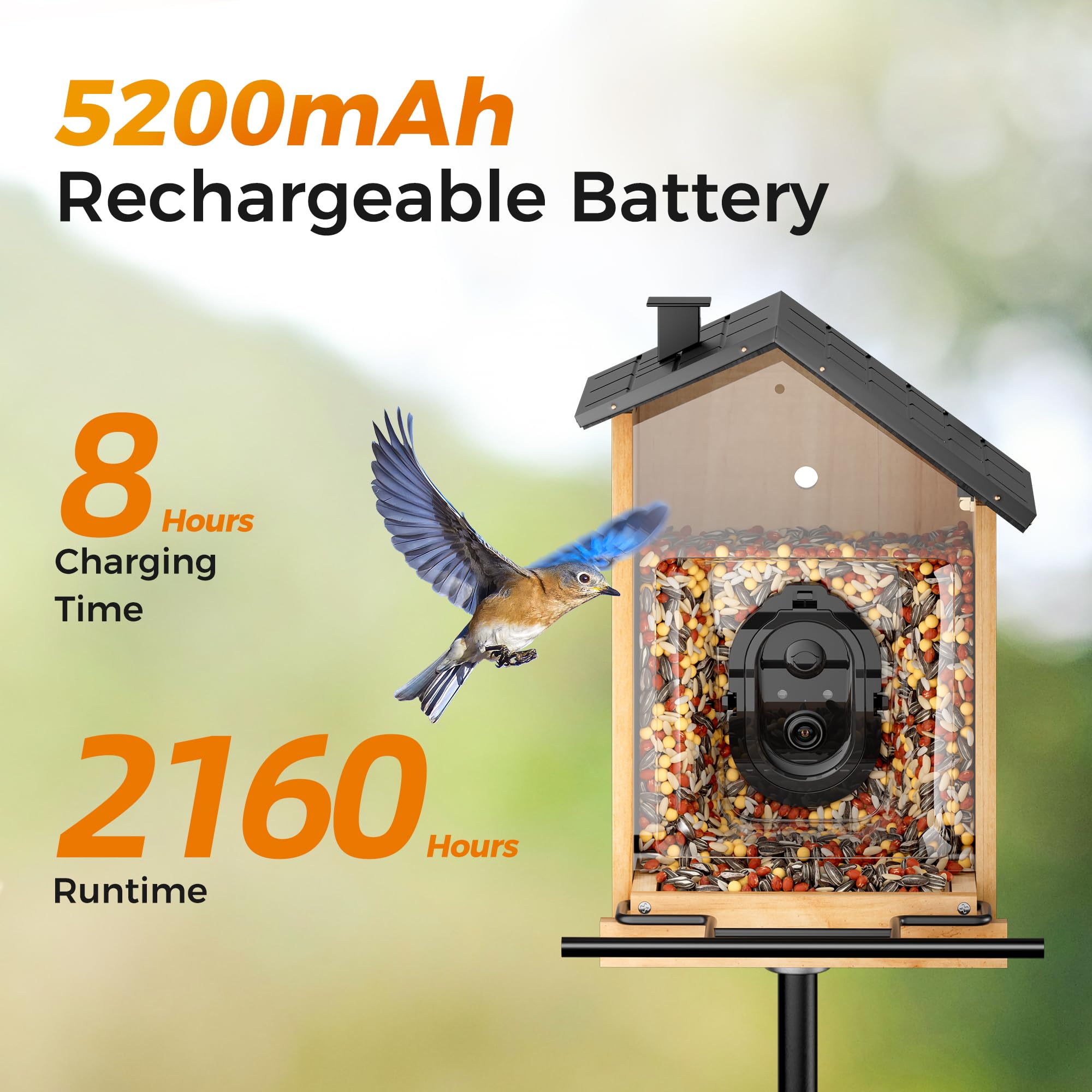 Smart Bird Feeder with Camera - 3L Capacity, AI Bird Identification for 10,000+ Species, Cloud Storage & Instant Alerts | Perfect Gift for Bird Lovers, Backyard Wildlife Watching & Christmas Presents