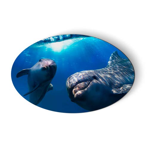 Playful Dolphins Oval Magnet for Car, Fridge, Locker - 5.5 Inch Decorative Accessory - Perfect for Home, Office, Dorm & Gifts