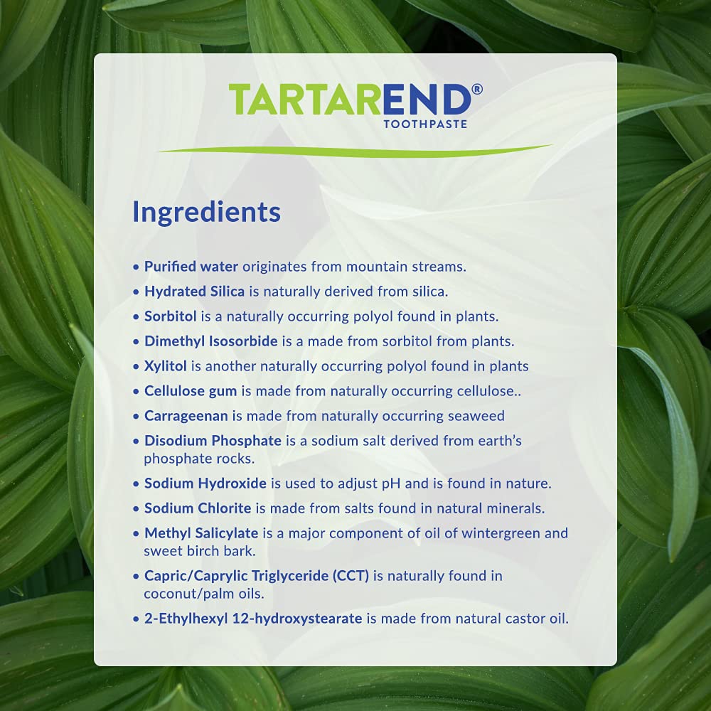 Best Tartar Control Toothpaste for Plaque Removal - 3.4 oz Wintergreen Flavor Dental Care for Fresh Breath & Healthy Teeth - Perfect for Daily Oral Hygiene at Home or Travel