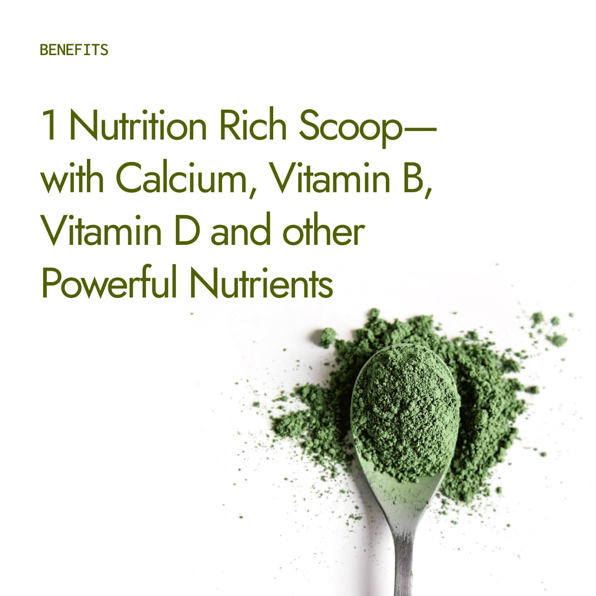 Organic Moringa Powder 200g - USDA Certified, Pure Moringa Leaf Superfood | Natural Energy Boost, Rich in Nutrients & Antioxidants | Perfect for Smoothies, Teas & Daily Wellness Routine